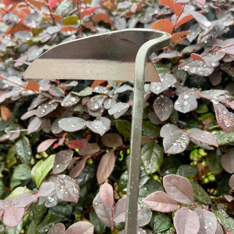 ALANX 12 Inch Japanese Gardening Hand Weeding Sickle, Weeding Hoe with Long Wooden Handle - Image 4